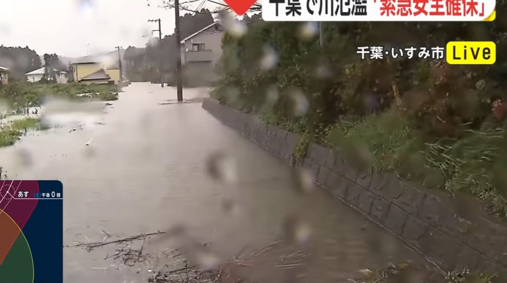 Мощный тайфун наделал бед в Токио (ВИДЕО)