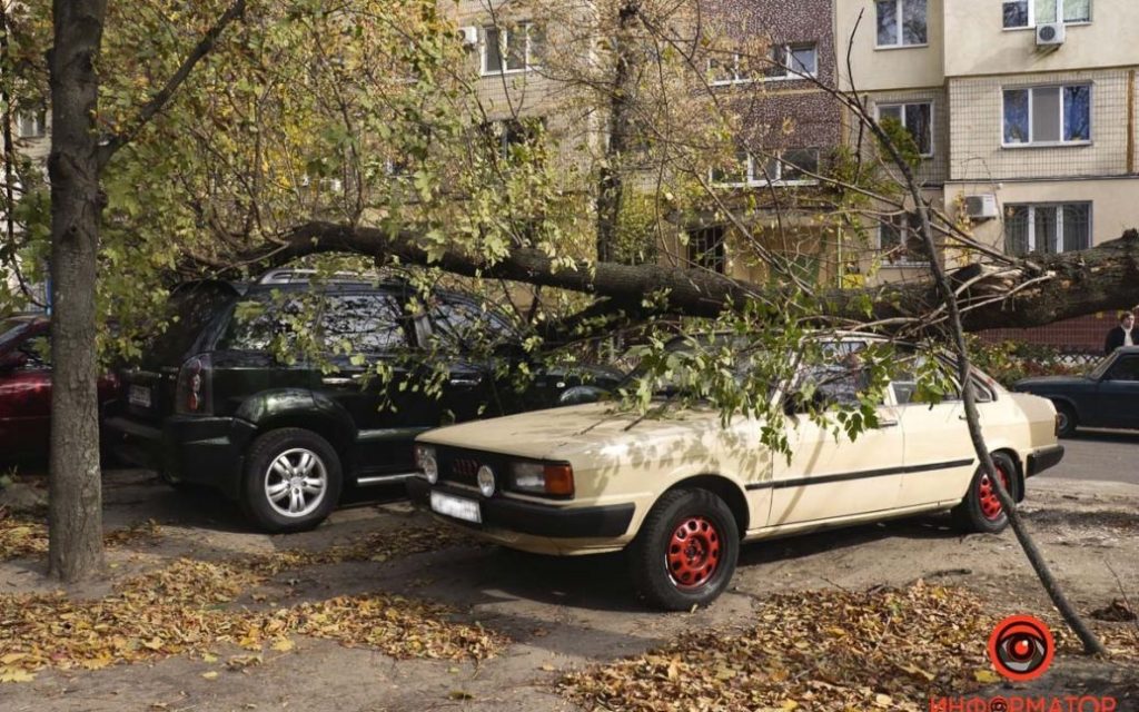 В Днепре из-за непогоды деревья падали на автомобили (ФОТО)