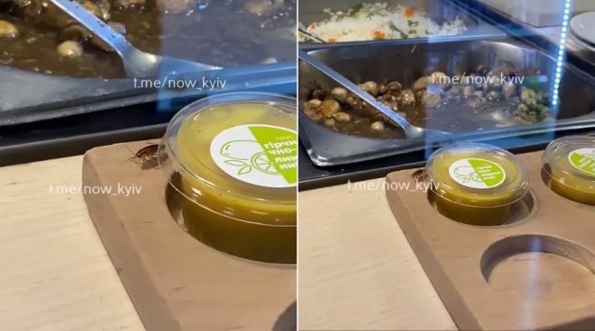 В Киеве в популярной сети быстрого питания заметили тараканов (ВИДЕО)