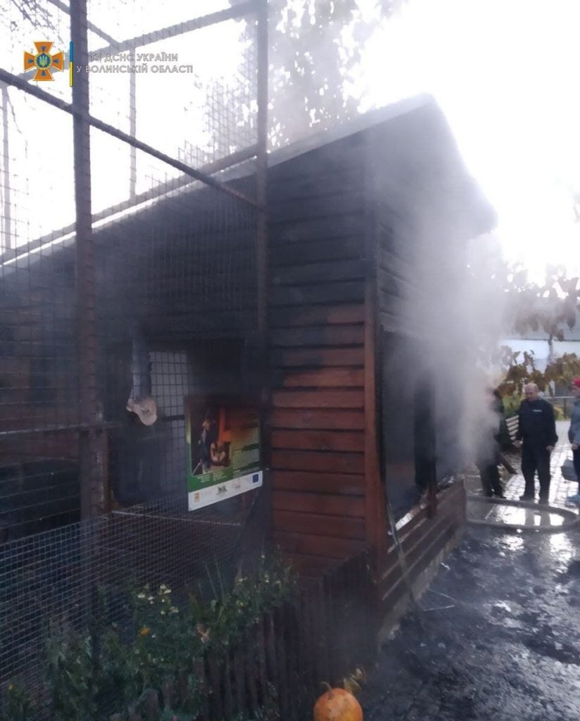 В Луцке в результате пожара в зоопарке погибли три обезьяны (ФОТО)