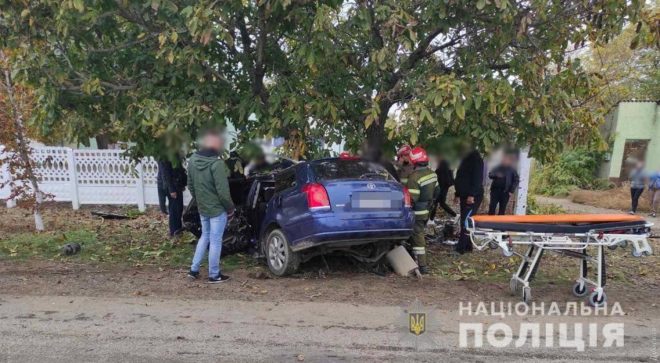 В Одесской области водитель Toyota насмерть врезался в дерево, пассажир госпитализирован (ФОТО)