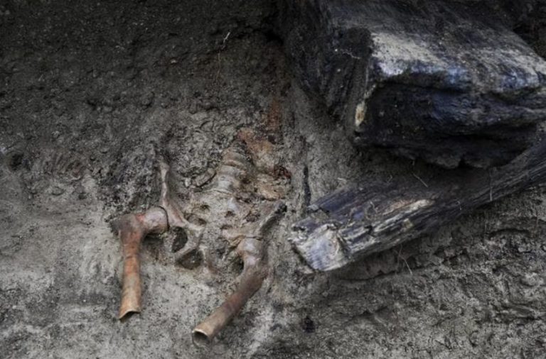 В Италии обнаружили останки жертвы Везувия (ФОТО)
