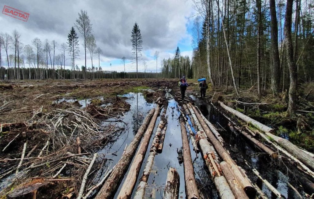 Массовая вырубка деревьев из-за дорогого газа: Украина вернулась в 90-е – эксперт
