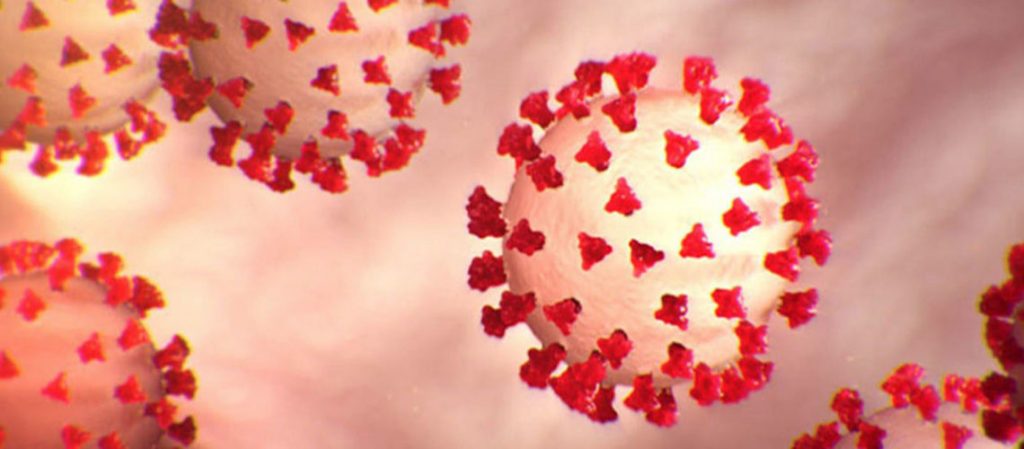 Ученые определили длительность иммунитета у переболевших COVID