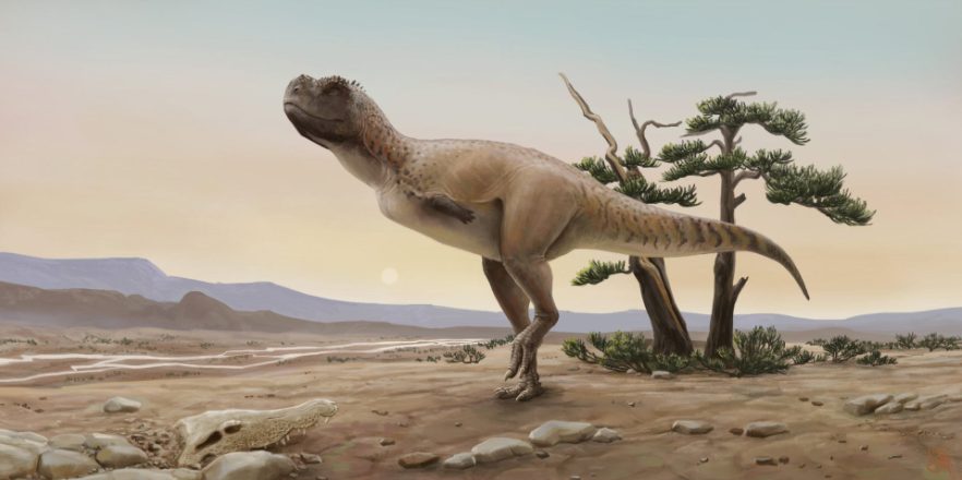 В Бразилии обнаружили останки нового вида динозавров (ФОТО, ВИДЕО)