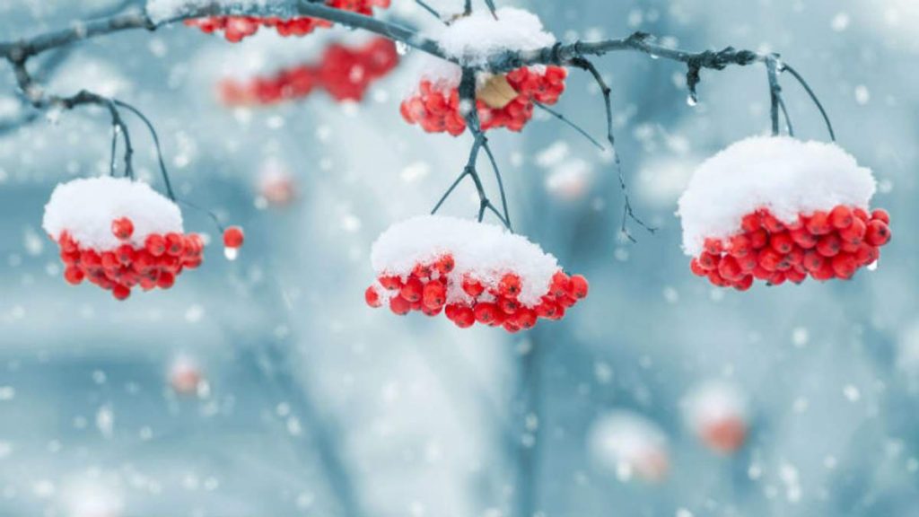 Какой будет зима в Украине: прогноз метеоролога