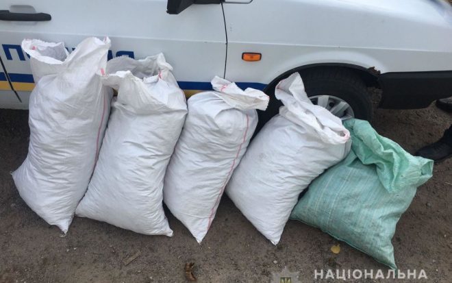 В Винницкой области полицейский случайно нашел 30 килограмм каннабиса (ФОТО)