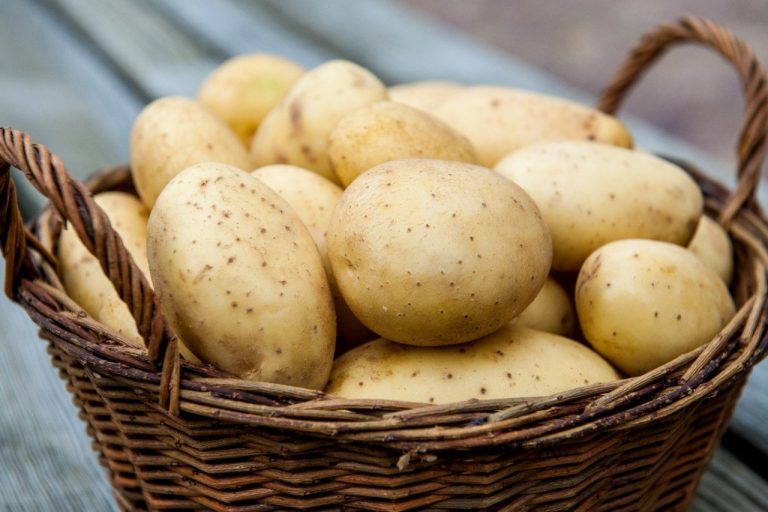 В Украине стоимость картофеля уже вдвое выше, чем в прошлом году: что будет с ценами