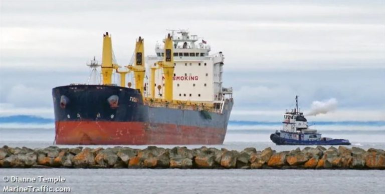 Maersk останавливает перевозки по Красному морю