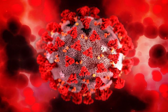 Украина получит таблетки против коронавируса в 2022 году
