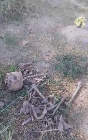 На кладбище для животных в Сумской области лежали человеческие кости (ФОТО)