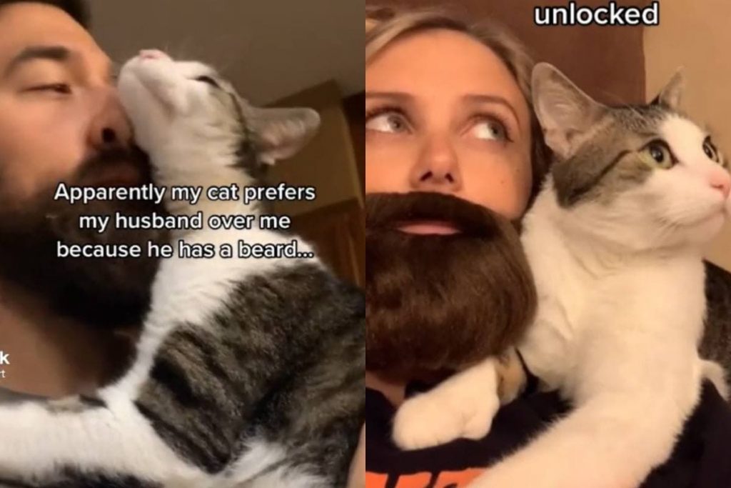 Прицепила бороду: Американка нашла способ заинтересовать кота (ФОТО, ВИДЕО)