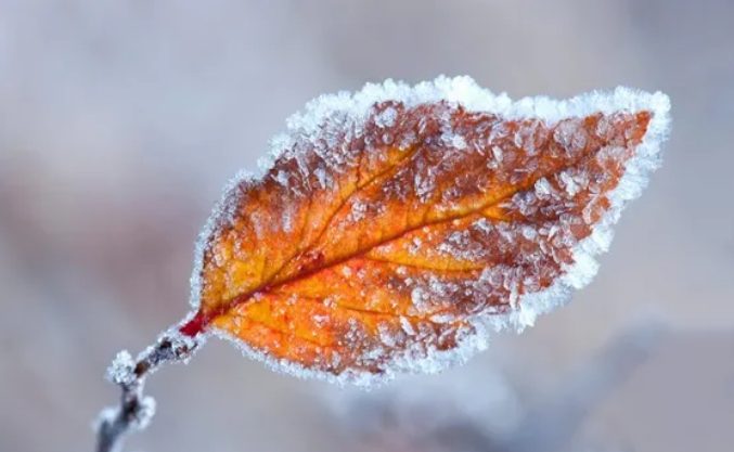 До -7 градусов: 1 декабря в Киеве резко похолодает