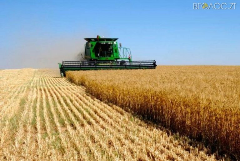 Без господдержки аграрный сектор в Украине будет уничтожен – эксперт