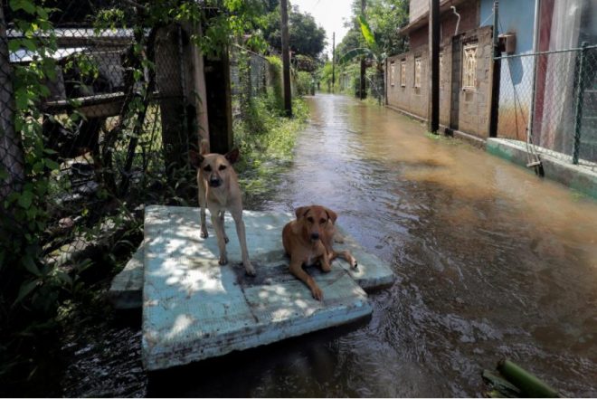 Ураган и дожди в Шри-Ланке: 14 погибших, один пропал без вести (ФОТО)