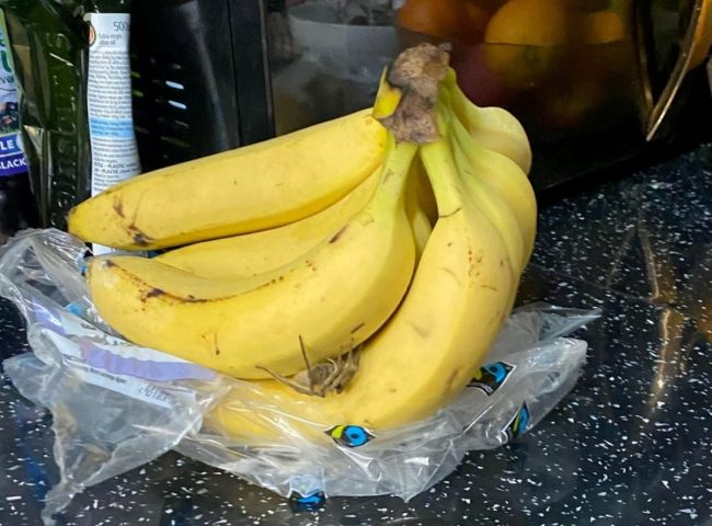 Покупатель обнаружил в связке бананов смертельно опасного паука (ФОТО)