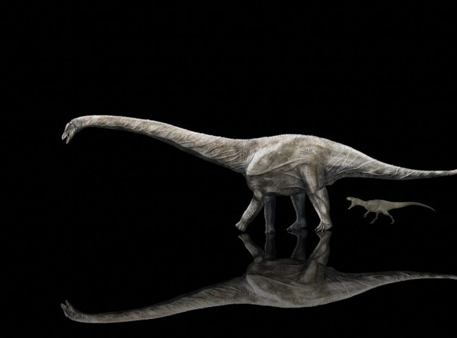 Ученые доказали существование 40-метрового динозавра (ФОТО)