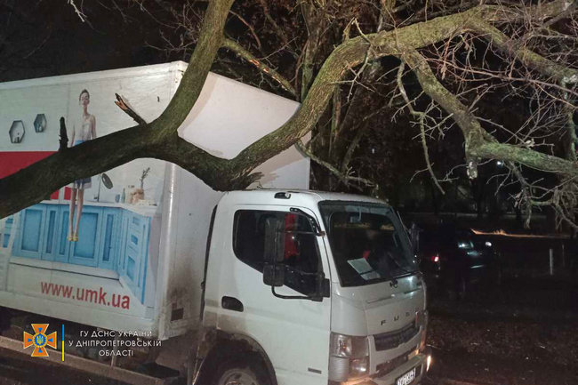 Огромное дерево в Кривом Роге рухнуло на грузовик (ФОТО)