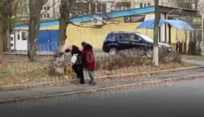 Киевлянин прямо на улице жестоко истязал свою собаку (ВИДЕО)