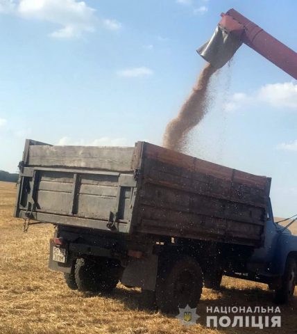 В Мелитополе украли урожая кориандра, гороха и пшена на 3 млн гривен (ФОТО)