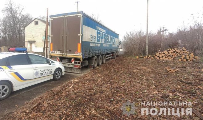 В Николаевской области незаконно спилили деревья – грузовики изъяли, ищут владельца (ФОТО)