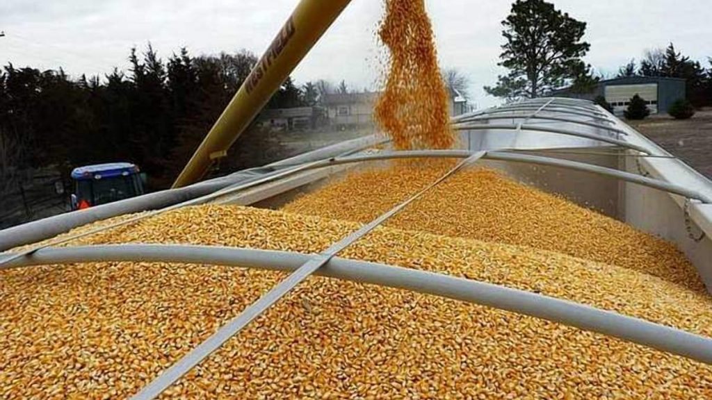 В Минэкономики ожидают нового рекорда по экспорту зерновых