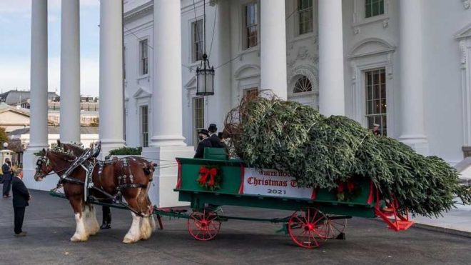 Джилл Байден показала новогоднюю елку для Белого дома (ФОТО)