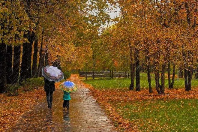 Переменная облачность и дожди: синоптики рассказали о погоде на 6 ноября