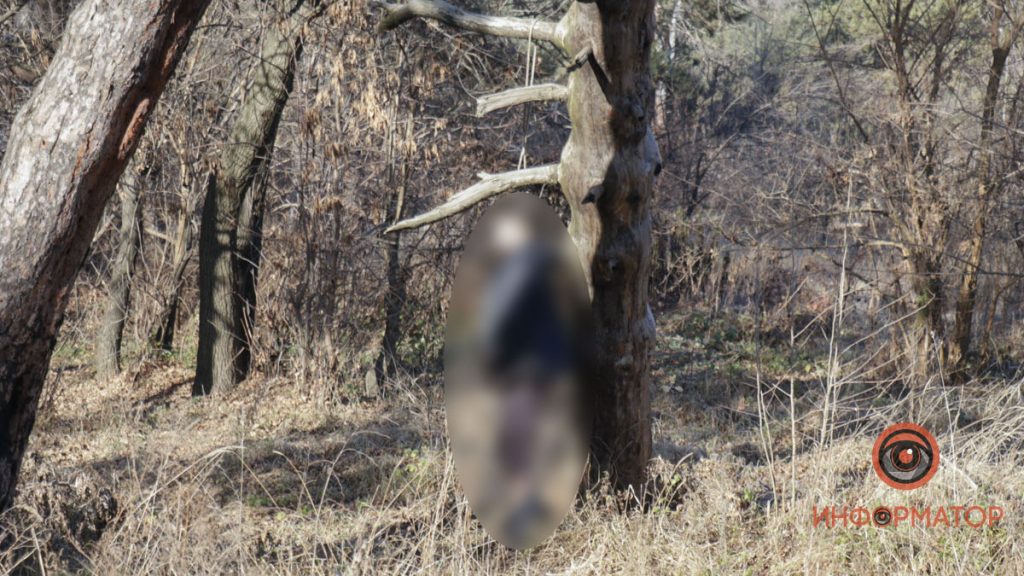 В Днепропетровской области на дереве нашли повешенным мужчину со спущенными штанами (ФОТО)