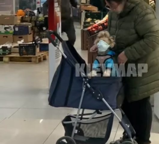 В Киеве покупательница надела на свою собачку маску в супермаркете (ВИДЕО)