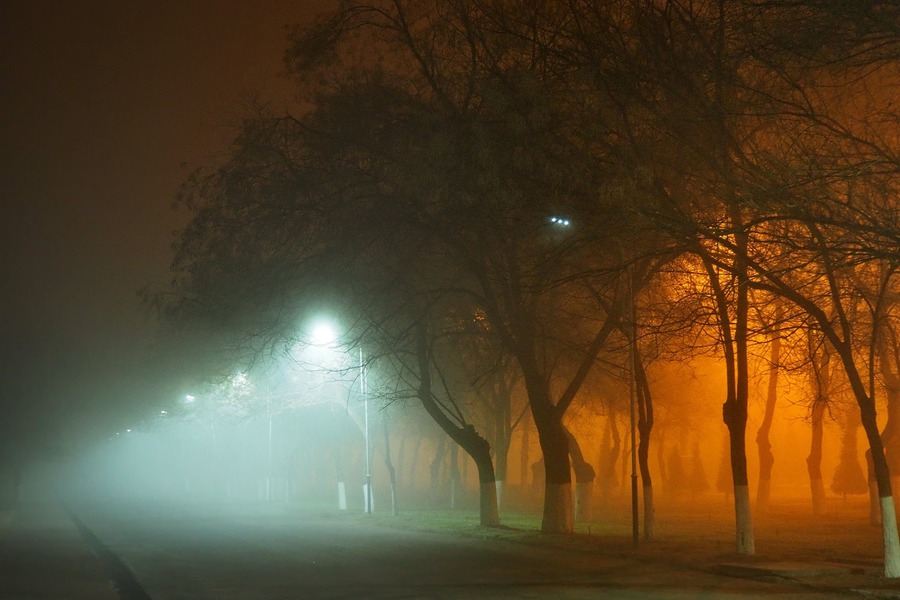 В Украине ожидается туман: первый уровень опасности