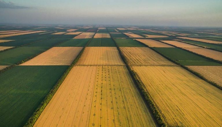 Эксперт оценил полгода работы в Украине рынка земли