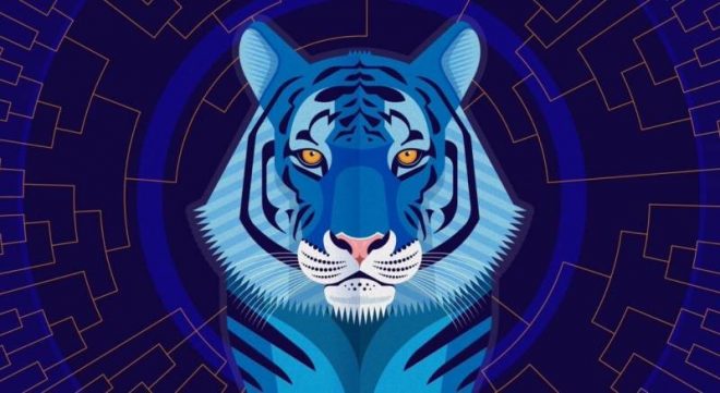 Какое новогоднее меню задобрит Тигра на весь 2022 год