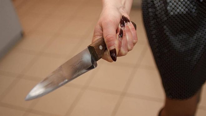 На Сумщине девушка пырнула брата ножом в живот (ВИДЕО)