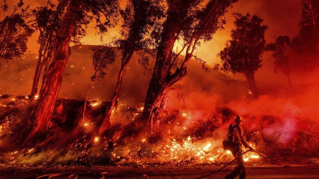 В Австралии снова разворачиваются лесные пожары (ВИДЕО)
