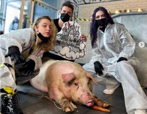 Киевский тату-салон попал в скандал из-за фото со свиньей (ВИДЕО)