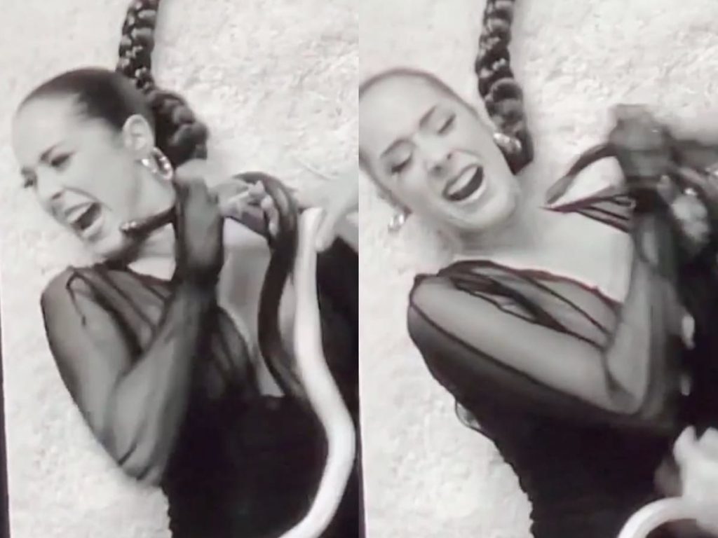 Змея укусила американскую певицу за лицо на съемках клипа (ФОТО, ВИДЕО)