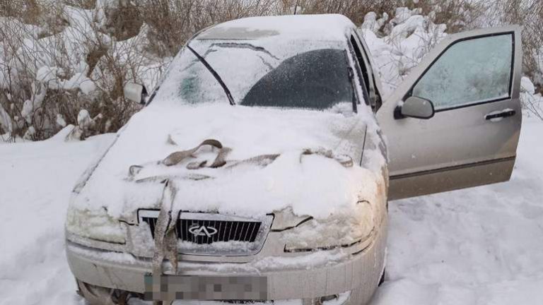 На Днепропетровщине из-за непогоды водитель Geely попал в снежную ловушку (ФОТО)