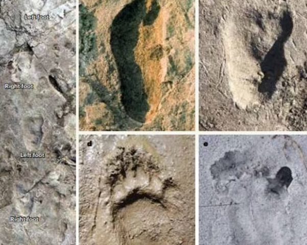 Ученые разгадали таинственные следы из Африки, которым более 3 миллионов лет (ФОТО)