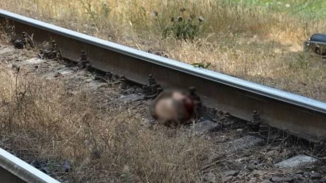 В Днепропетровской области возле железной дороги нашли труп мужчины без головы (ФОТО)