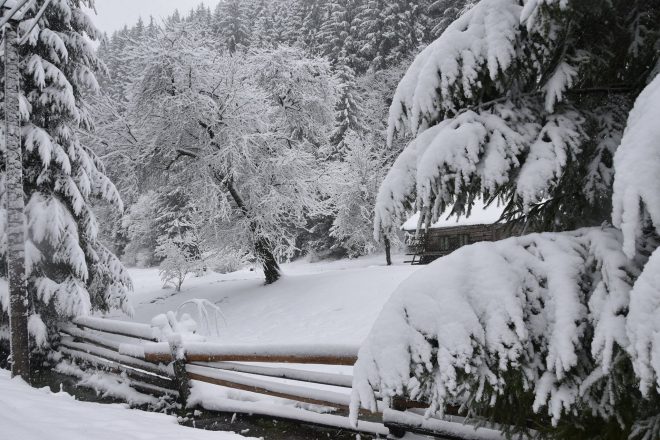 Сильные снегопады в Болгарии: два человека погибли в ДТП, объявлено чрезвычайное положение