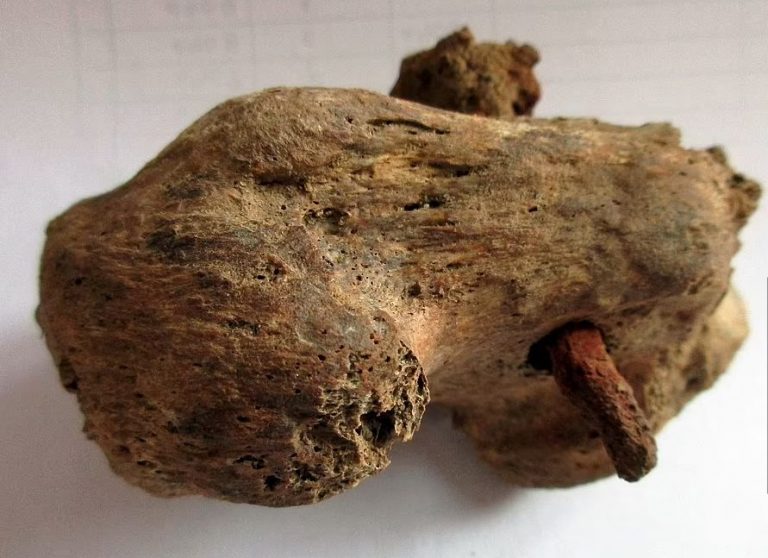 В Великобритании археологи впервые обнаружили свидетельства казни через распятие (ФОТО)