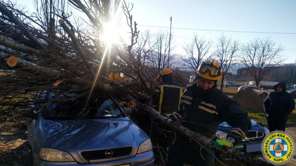В нескольких районах Киева упавшие деревья повредили автомобили (ФОТО)