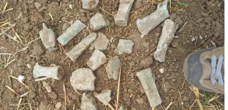 На британской ферме девочка нашли клад, которому около 700 лет (ФОТО)