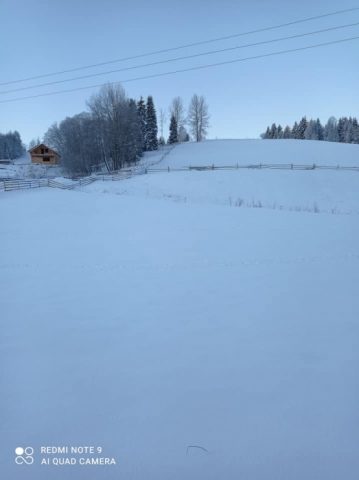 Похолодало до -20 градусов: Горные села Буковины замело снегом (ФОТО)