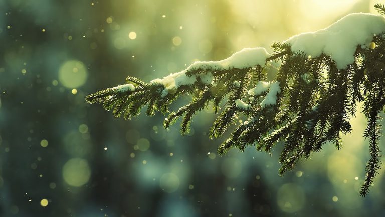 21 декабря &#8212; День зимнего солнцестояния 2021: традиции и запреты