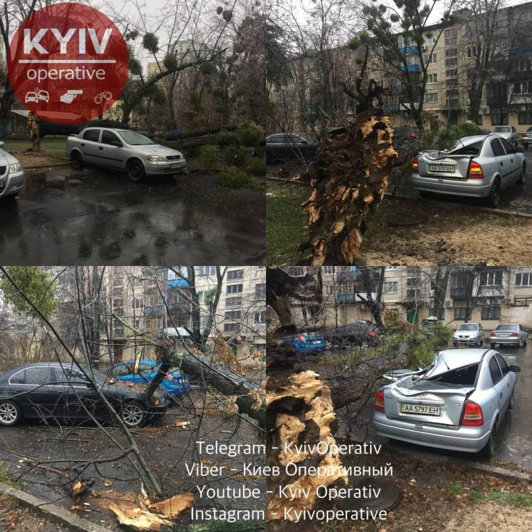 В Киеве из-за непогоды начался деревопад: пострадали авто (ФОТО)