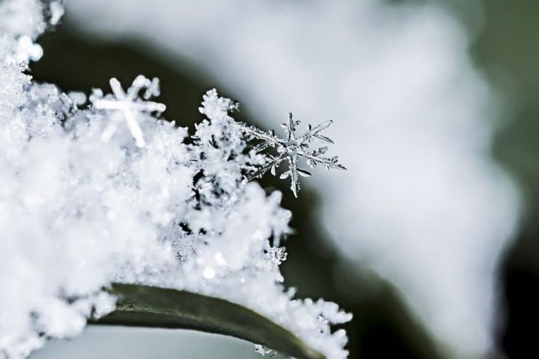 «Возвращение морозов и осадки»: синоптики рассказали о погоде на конец февраля