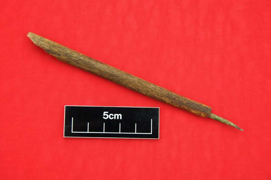 В Ирландии нашли древнюю чернильную ручку, созданную в 11 веке (ФОТО)