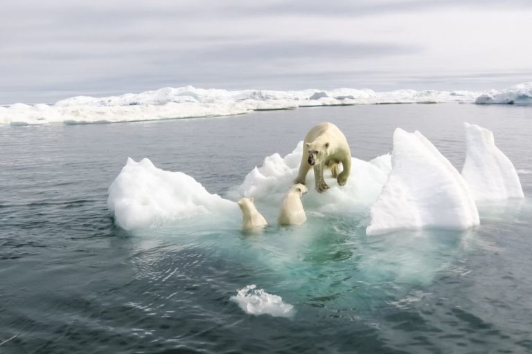 Северный Ледовитый океан начал нагреваться ранее, чем считали ученые